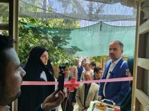 اقدامات بهزیستی بافت در هفته دولت تشریح شد